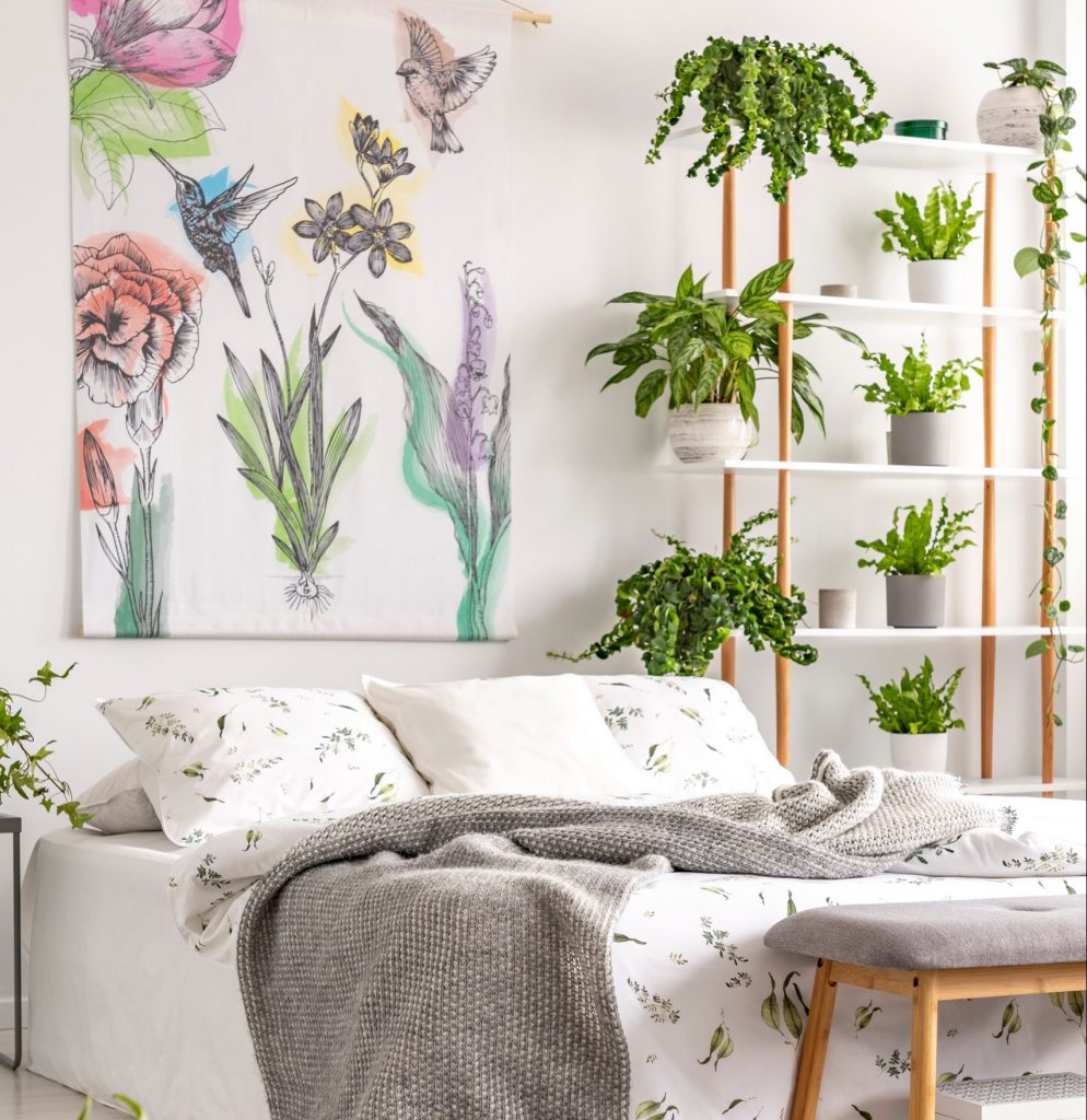 dormitorio, urban jungle plantas no lar