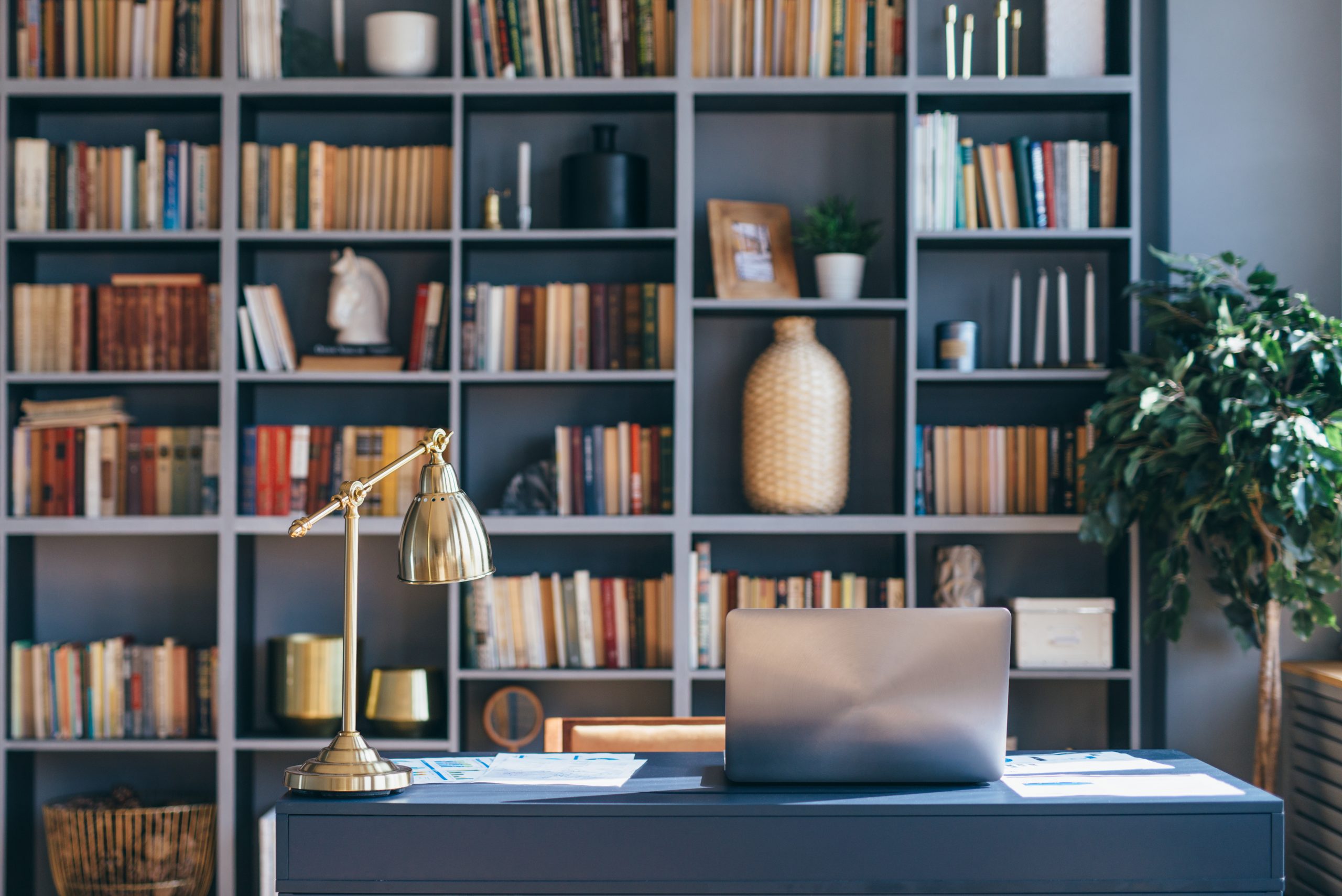 montar biblioteca em casa