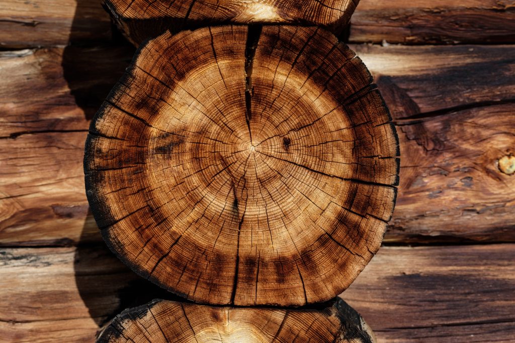 uso de madeiras provenientes de reflorestamento