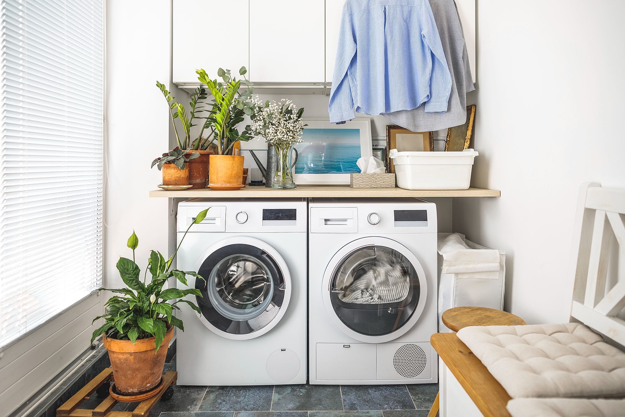 Дом стиральная машина. Plants and Art in Laundry Room.