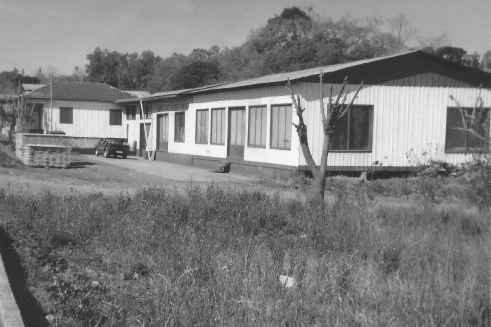 1981