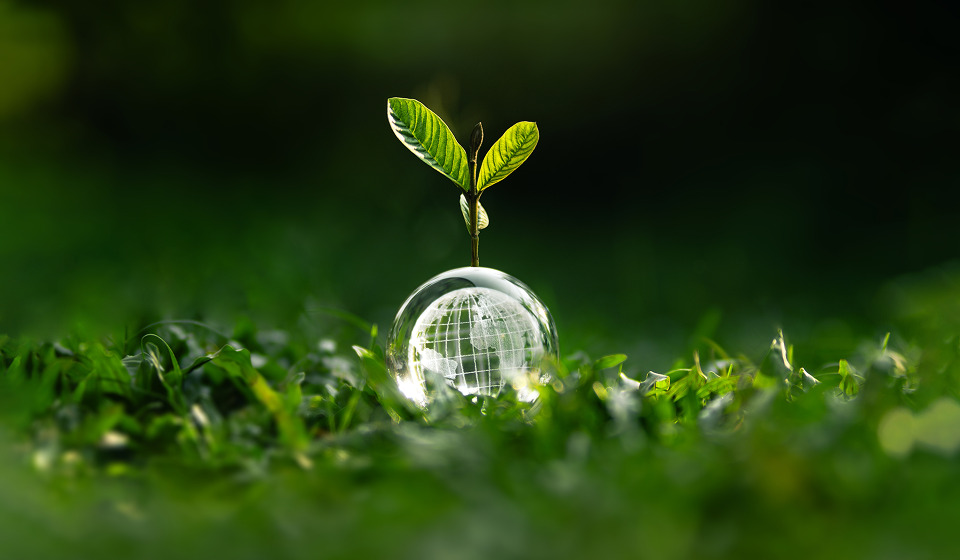 Compromisso com o Meio Ambiente