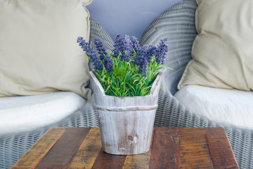 Plantas na decoração