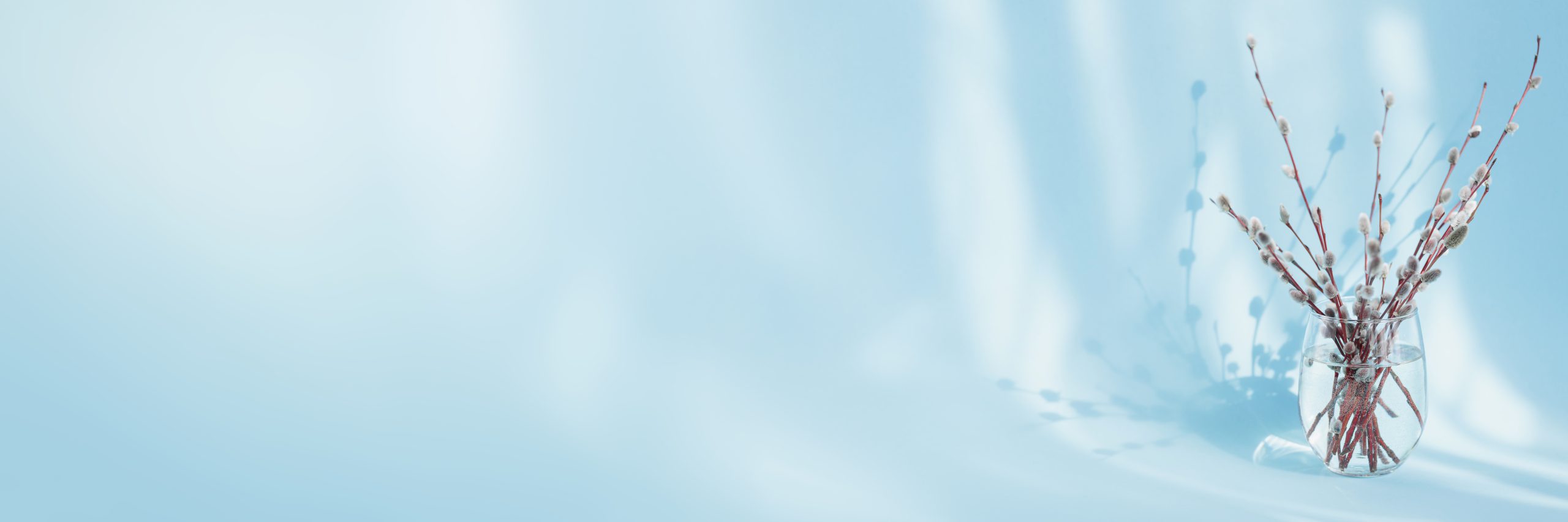Vibe Glacial - Tom de Azul -