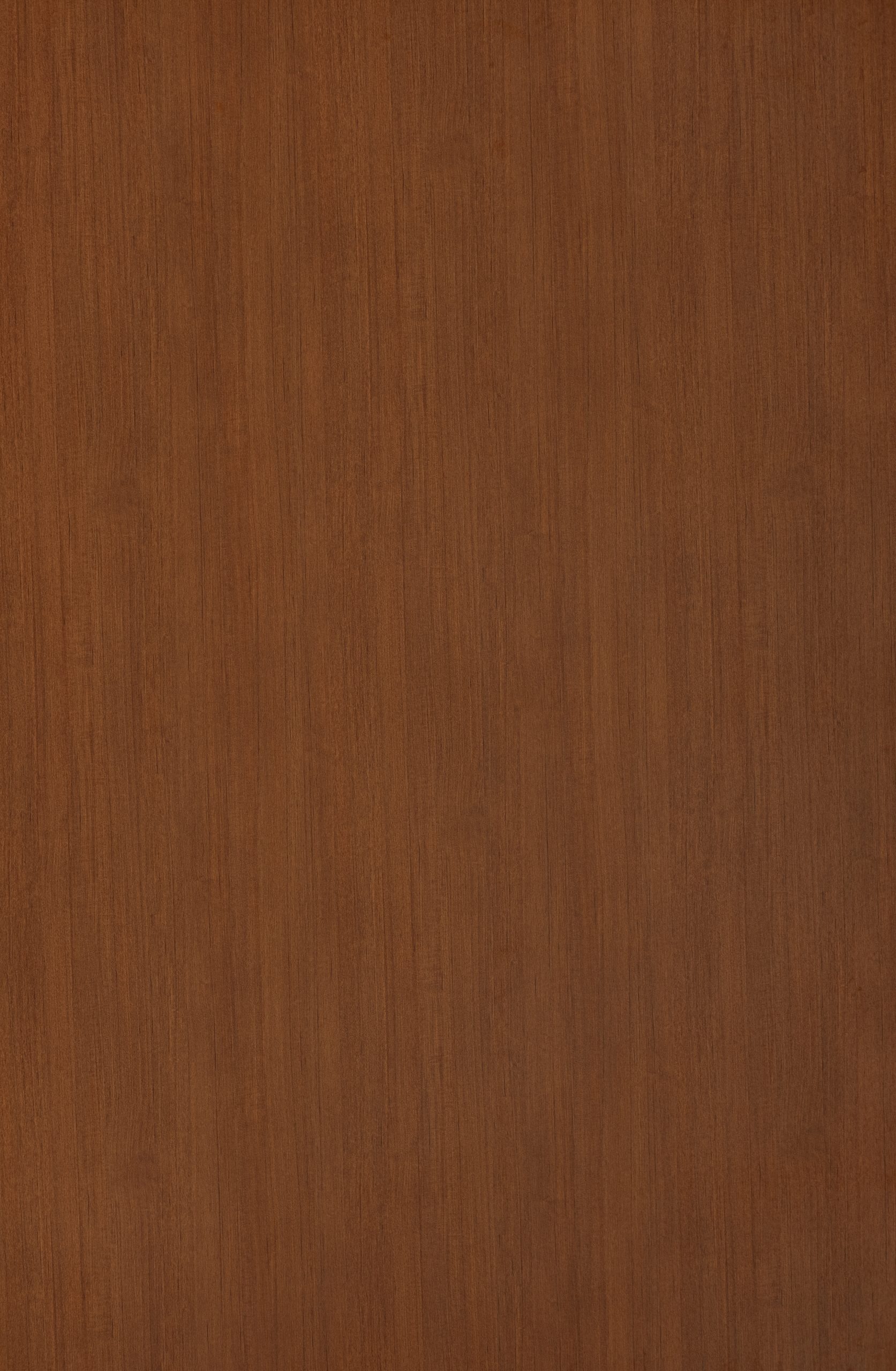 Lançamento Coleção Zeit - Honig