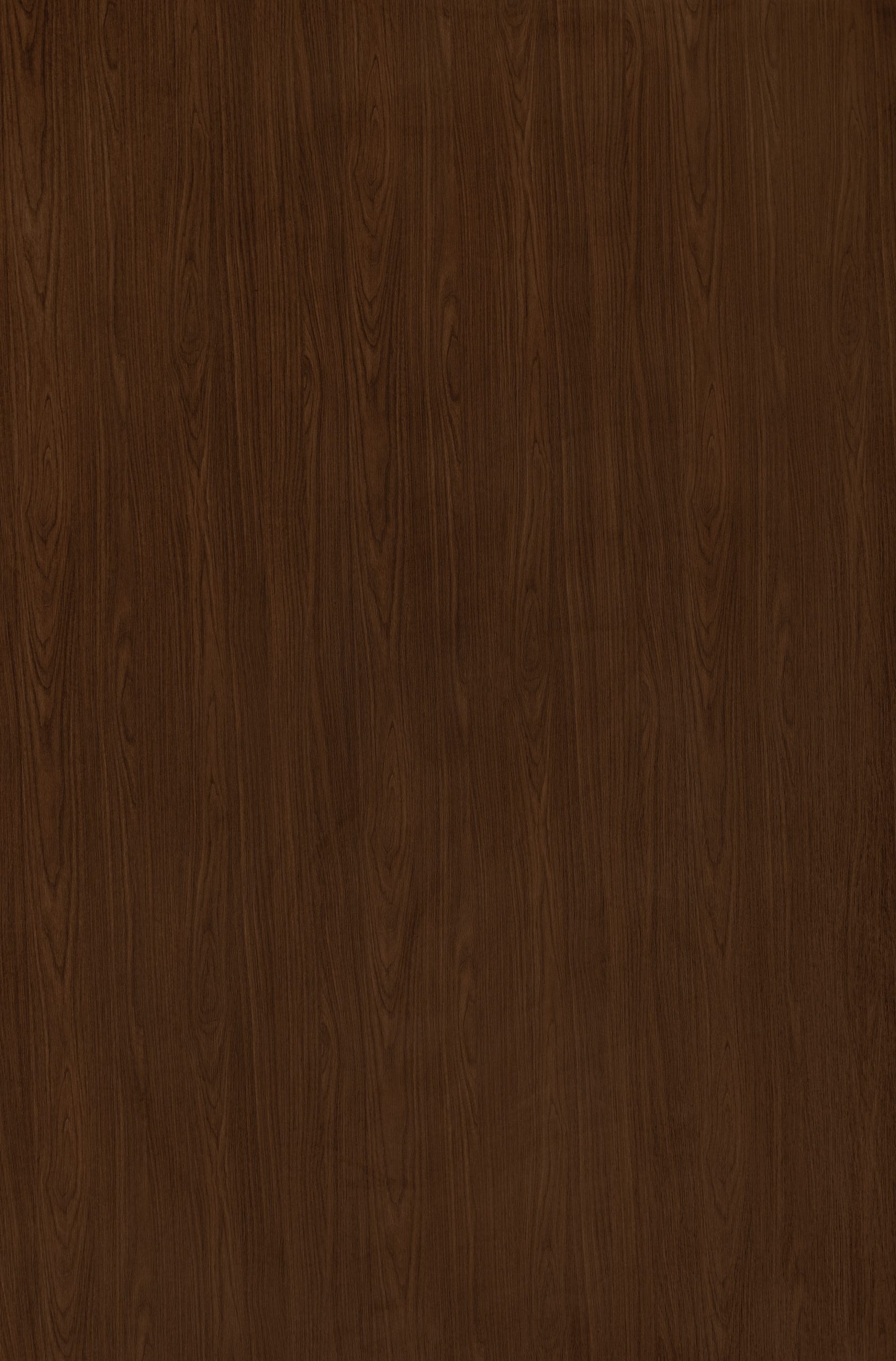 Lançamento Coleção Zeit - Kastanie