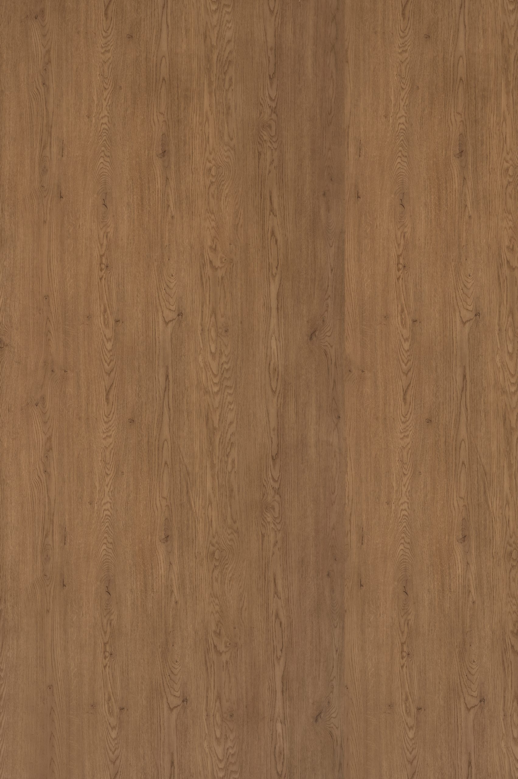 Lançamento Coleção Zeit - Nord