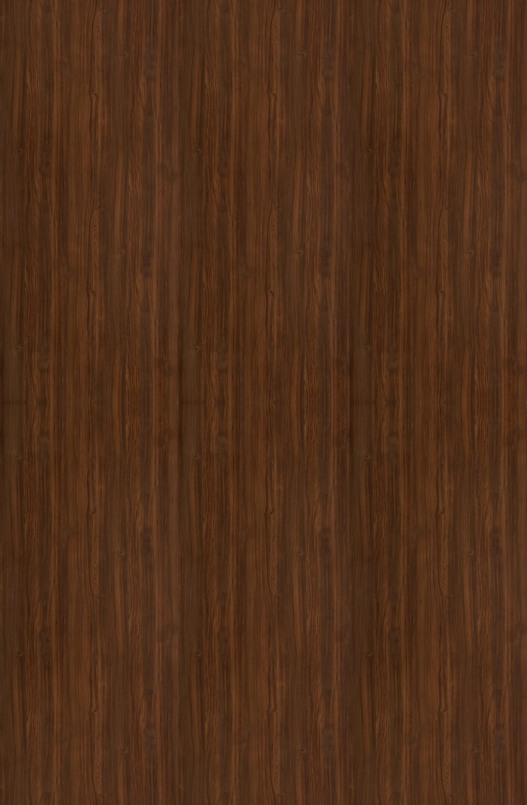 Lançamento Coleção Zeit - Silent