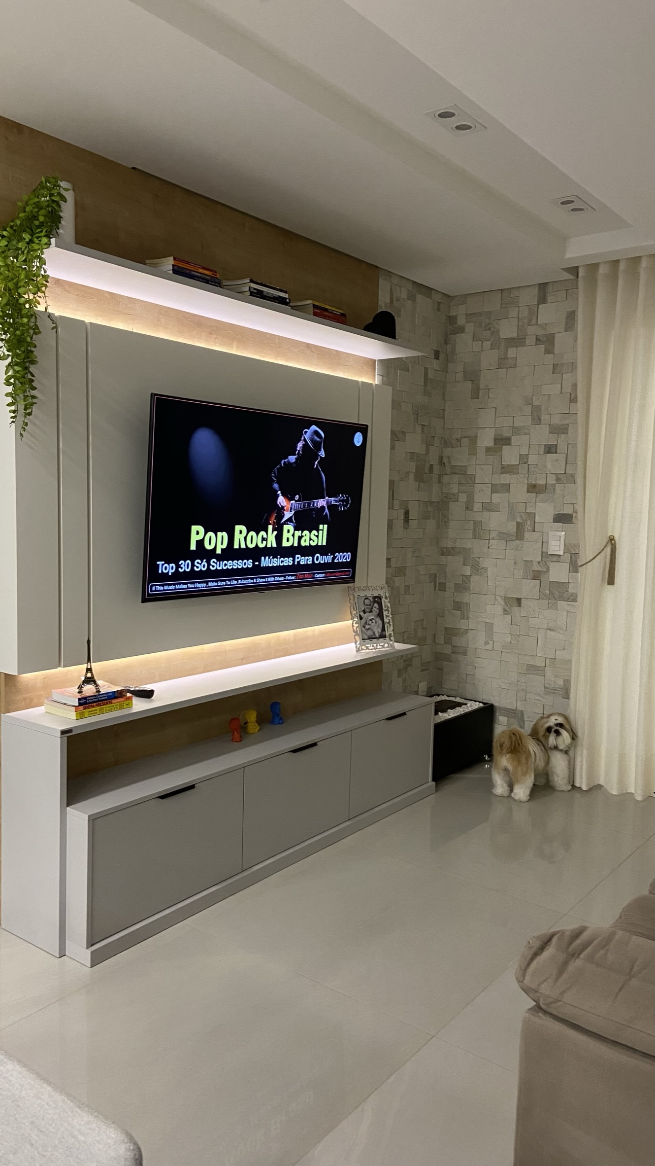 Living - Ambiente Pet Friendly