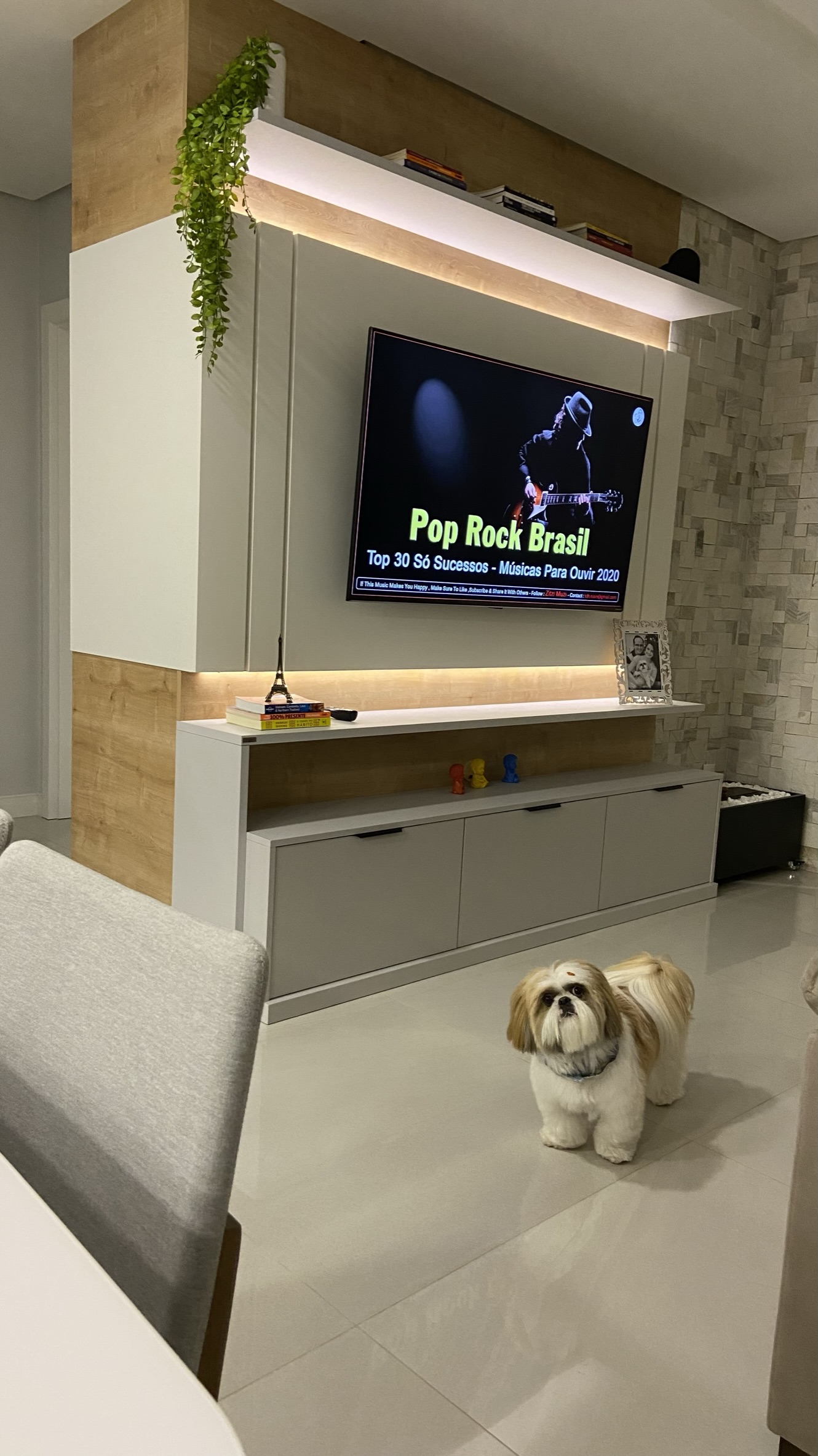 Living - Ambiente Pet Friendly