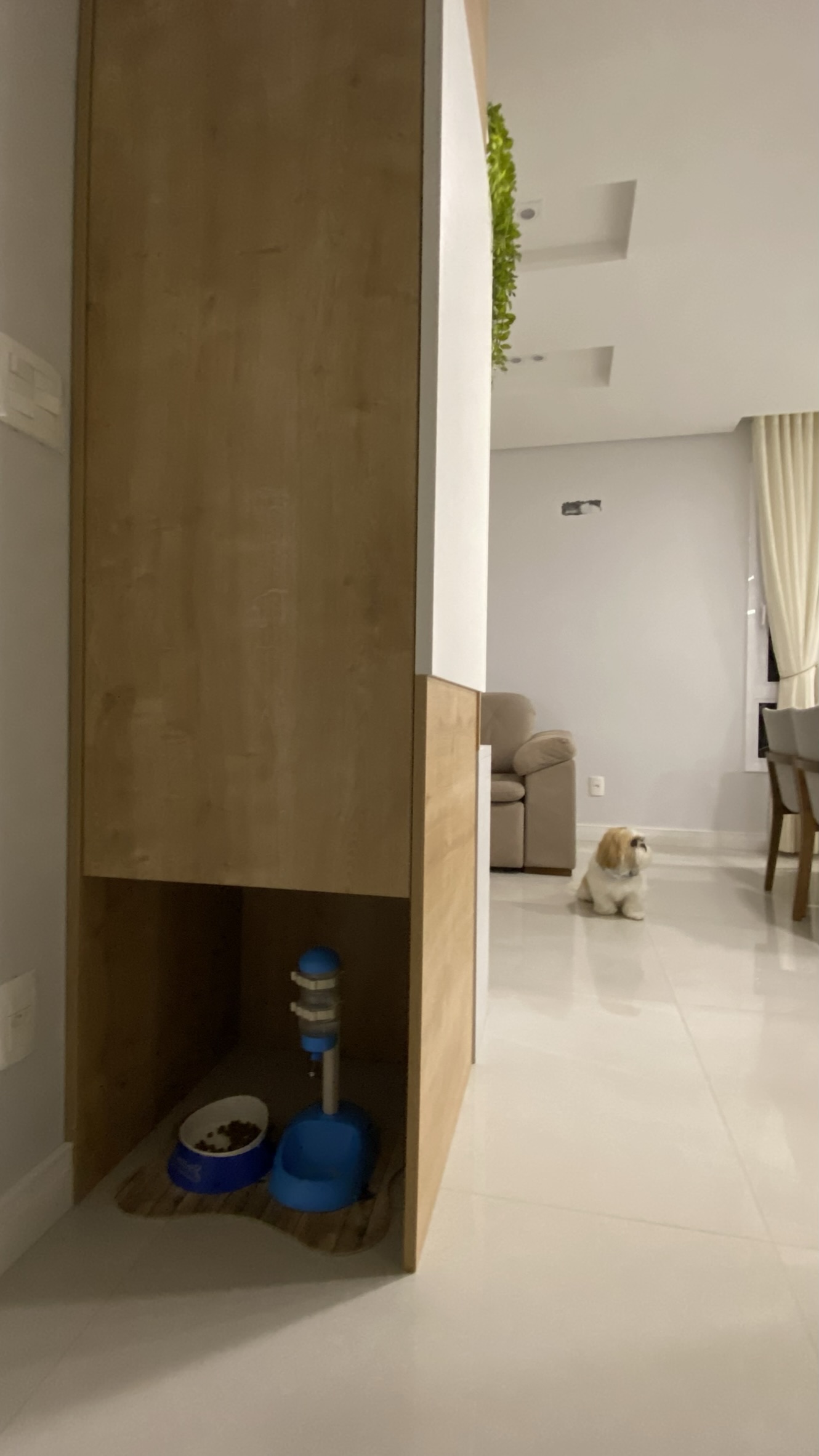Living - Ambiente Pet Friendly
